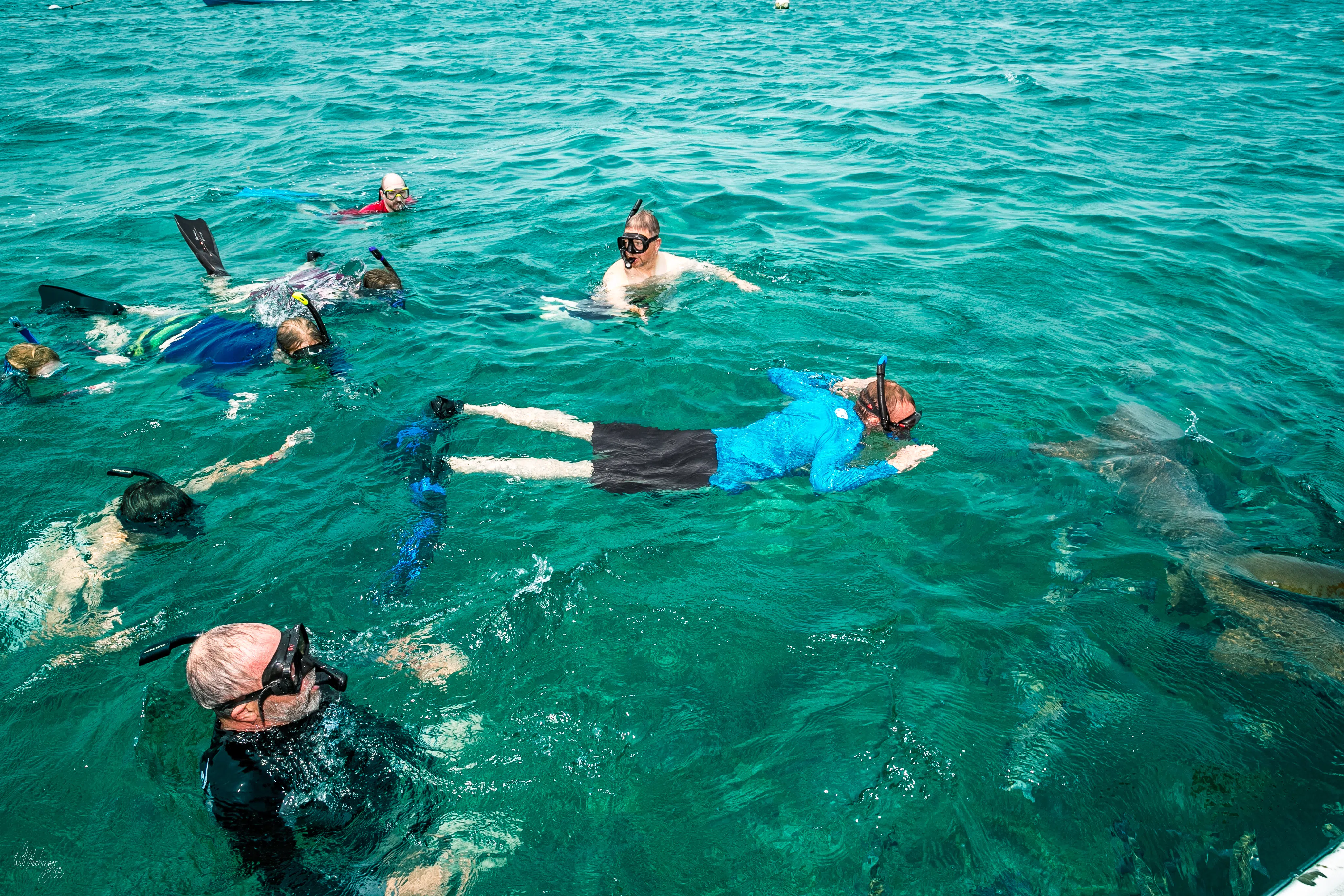 Hol Chan & Shark Ray Alley Snorkel
